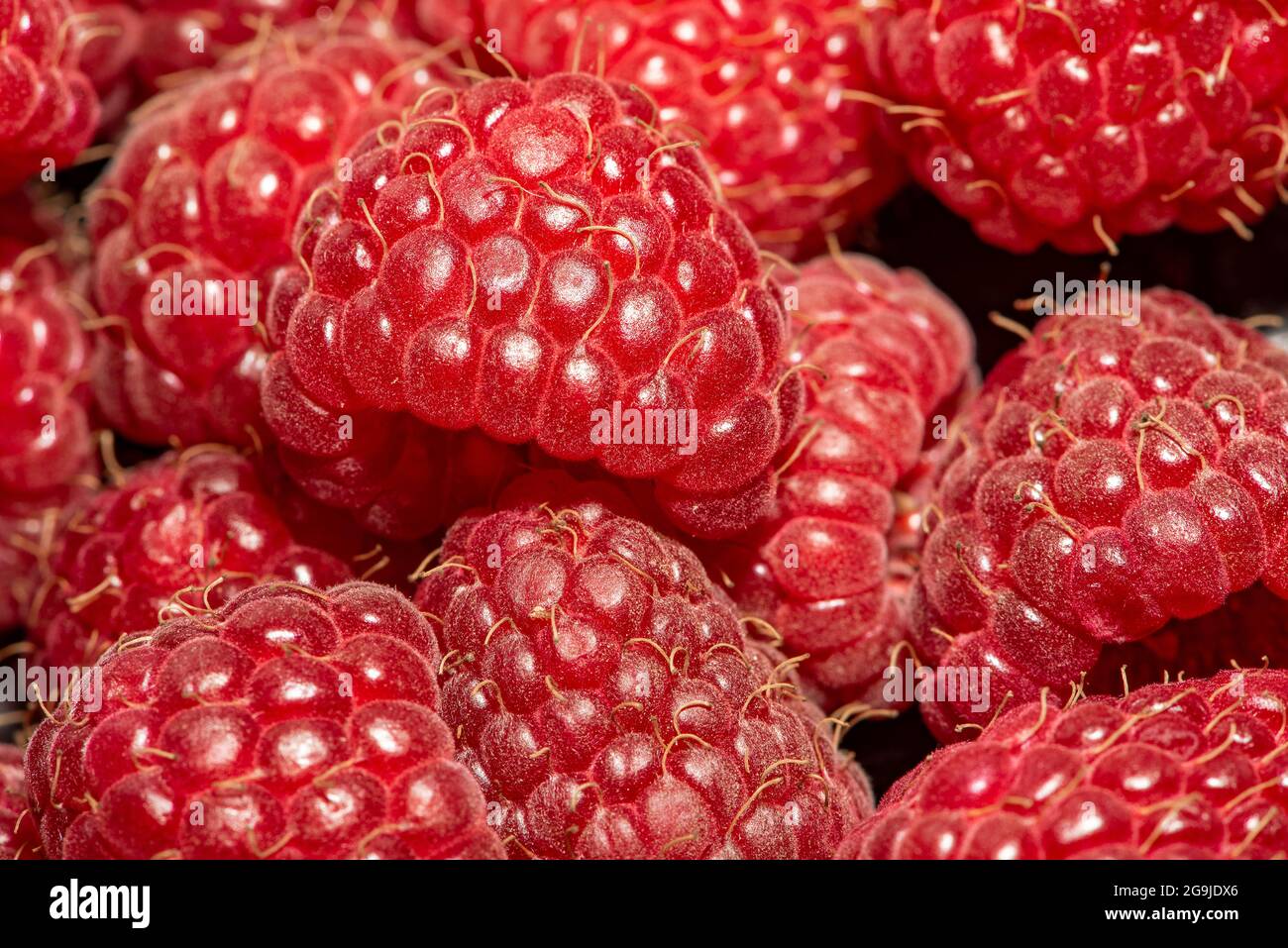Raspberry close-up photo, macro focus bracketing, pink-red, hairs, raspberry background, raspberry fruit food. Stock Photo