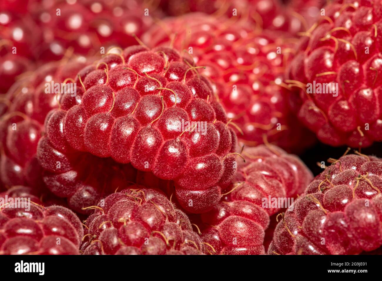 Raspberry close-up photo, macro focus bracketing, pink-red, hairs, raspberry background, raspberry fruit food. Stock Photo