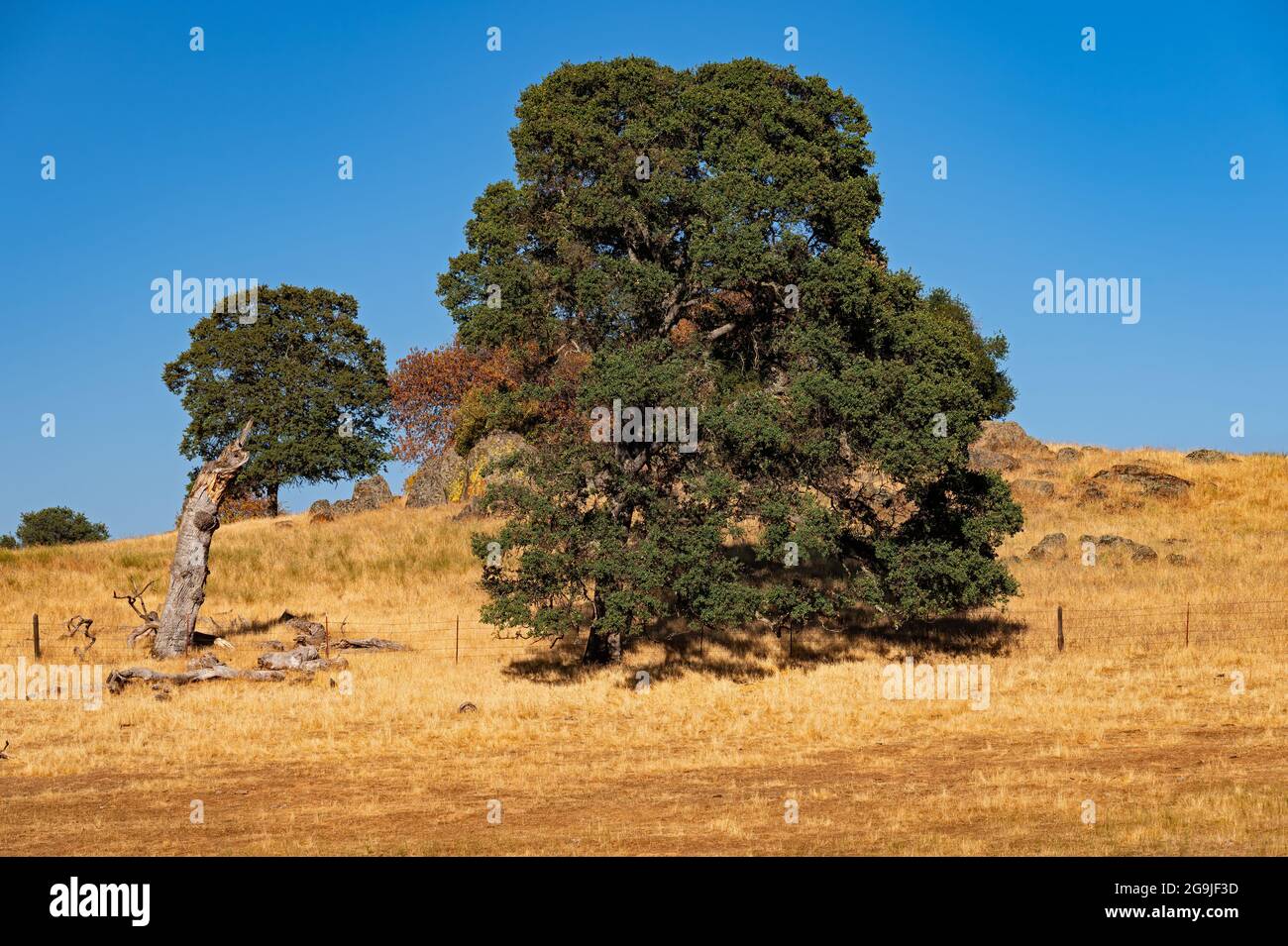 Amador california hires stock photography and images Alamy
