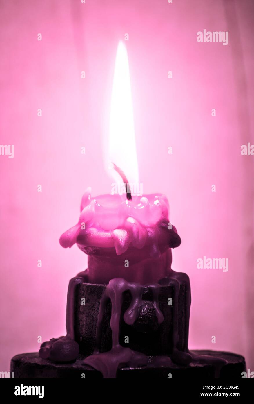 Burning pink candles on a pink background Stock Photo