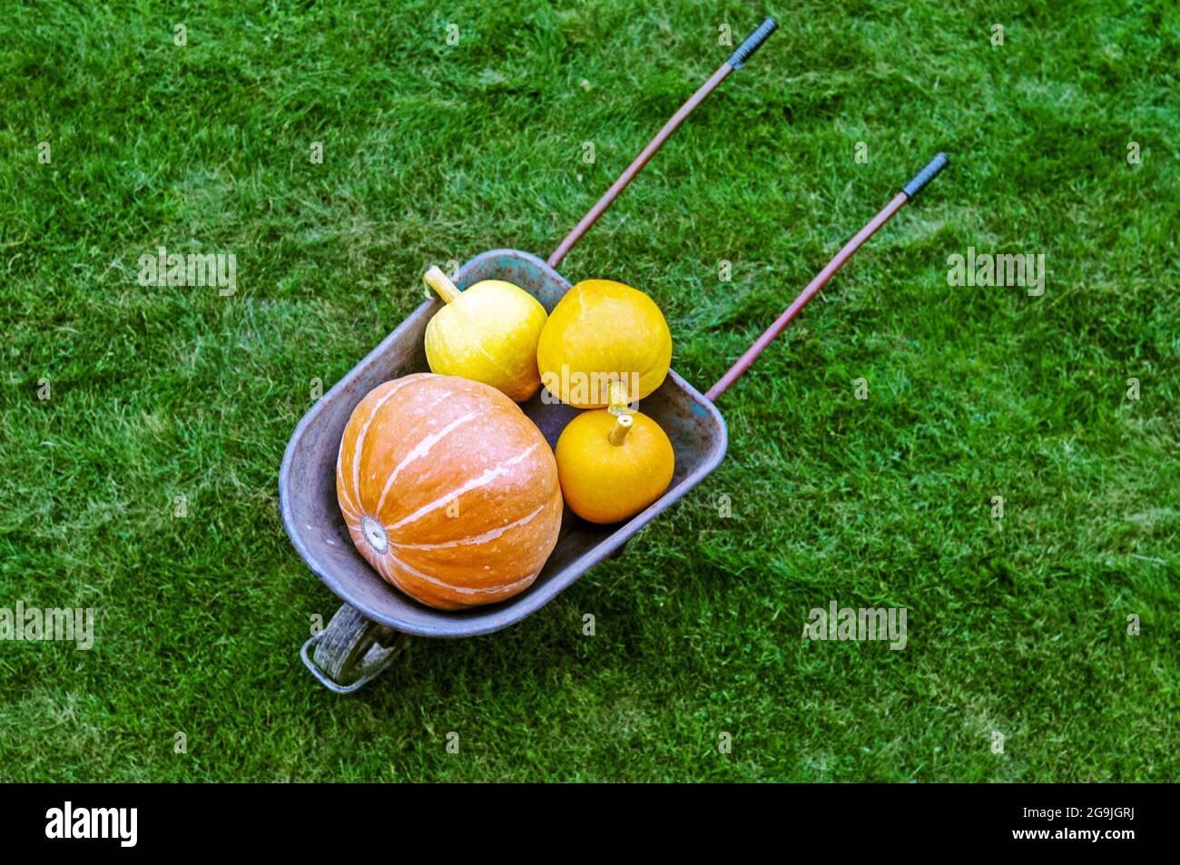 An autumn scene with pumpkins hi-res stock photography and images - Alamy
