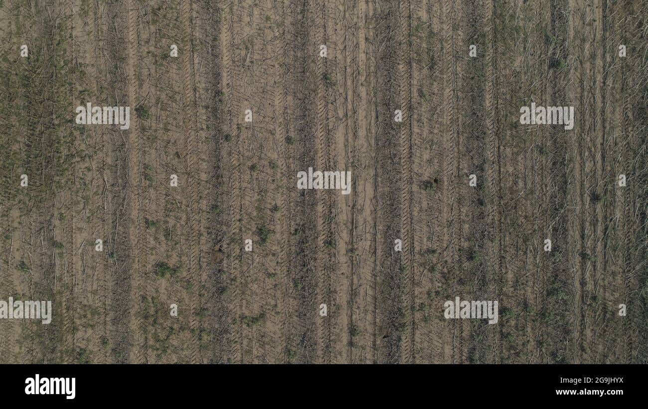 Corn aerial shot field agriculture hi-res stock photography and images ...