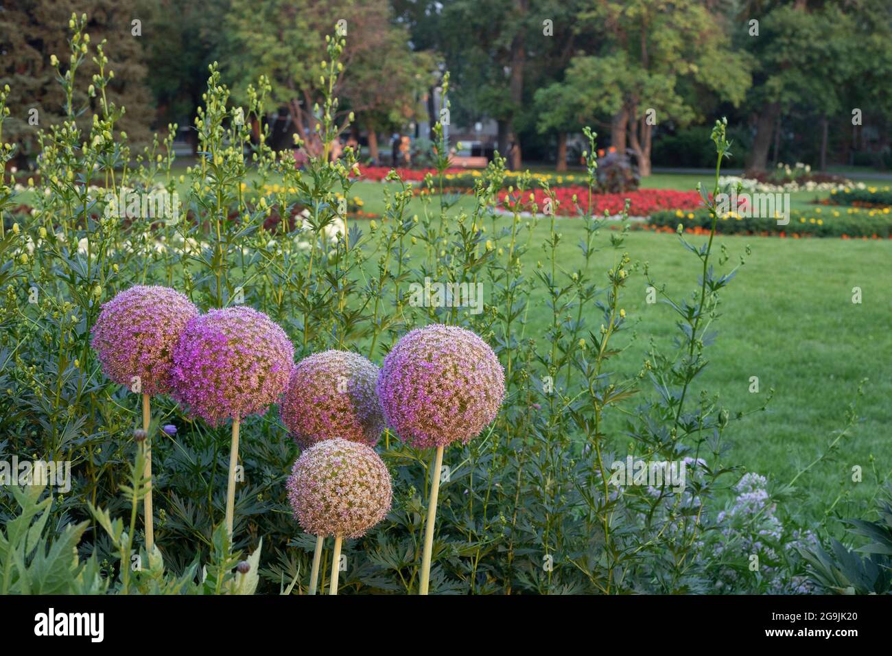 Riley park flower garden in summer, Calgary, Alberta, Canada Stock