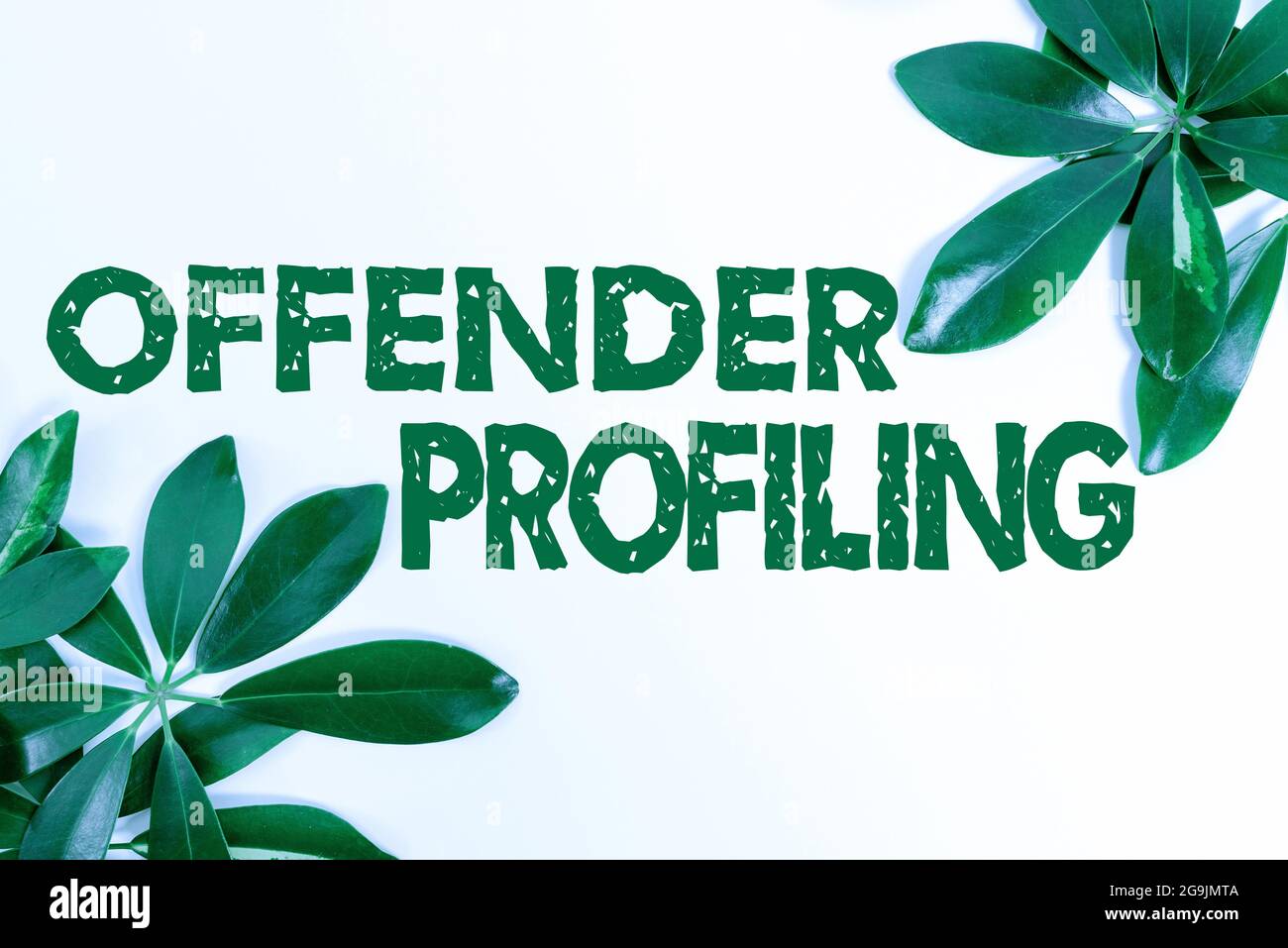 Data profiling system hi-res stock photography and images - Alamy