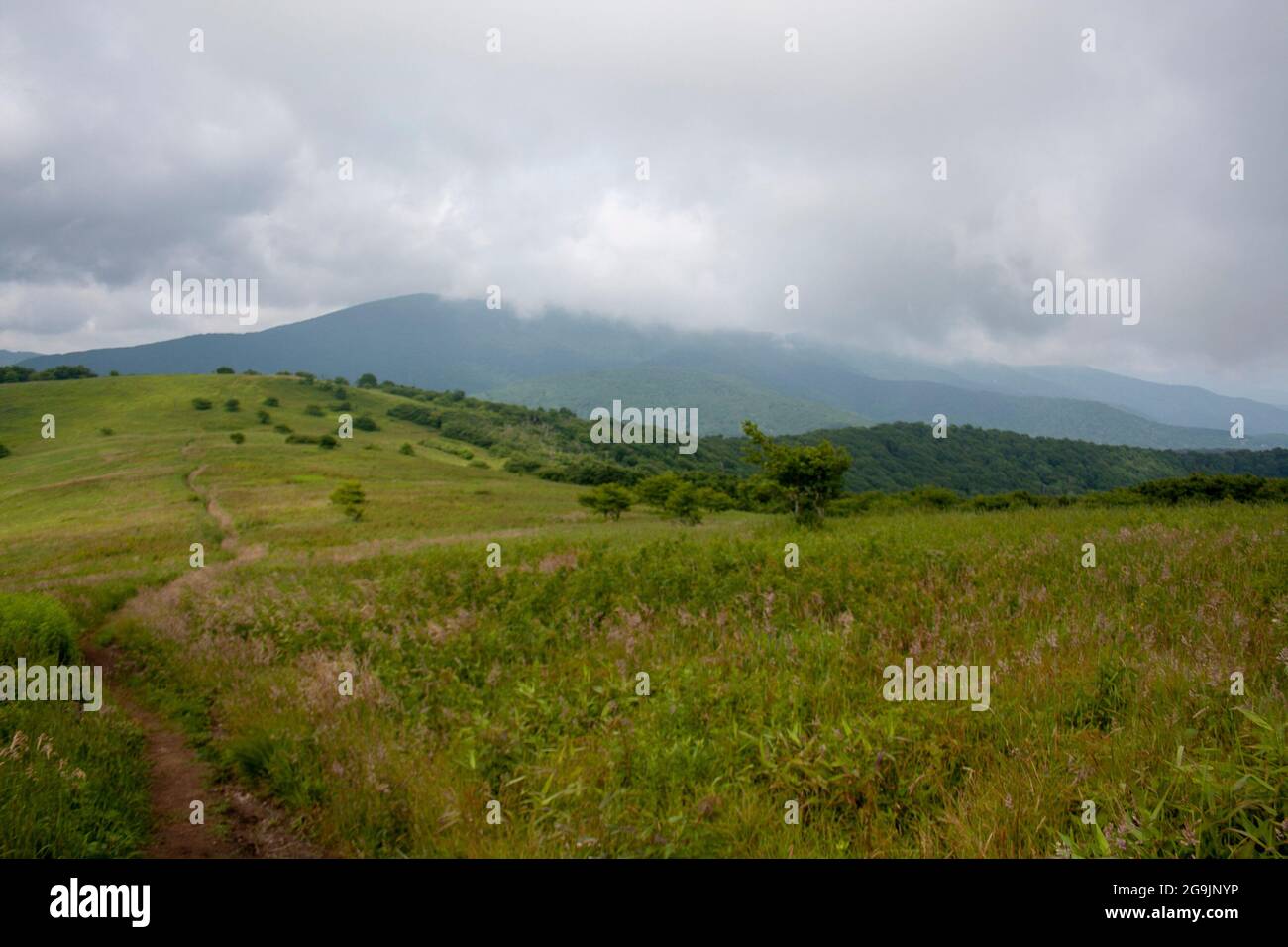 A view of the Appalachian Trail through the Blue Ridge Mountains with low clouds Stock Photo Alamy