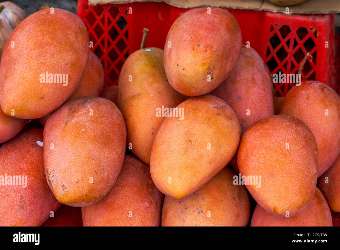 Tropical fruit, ripe red mango closeup Stock Photo Alamy