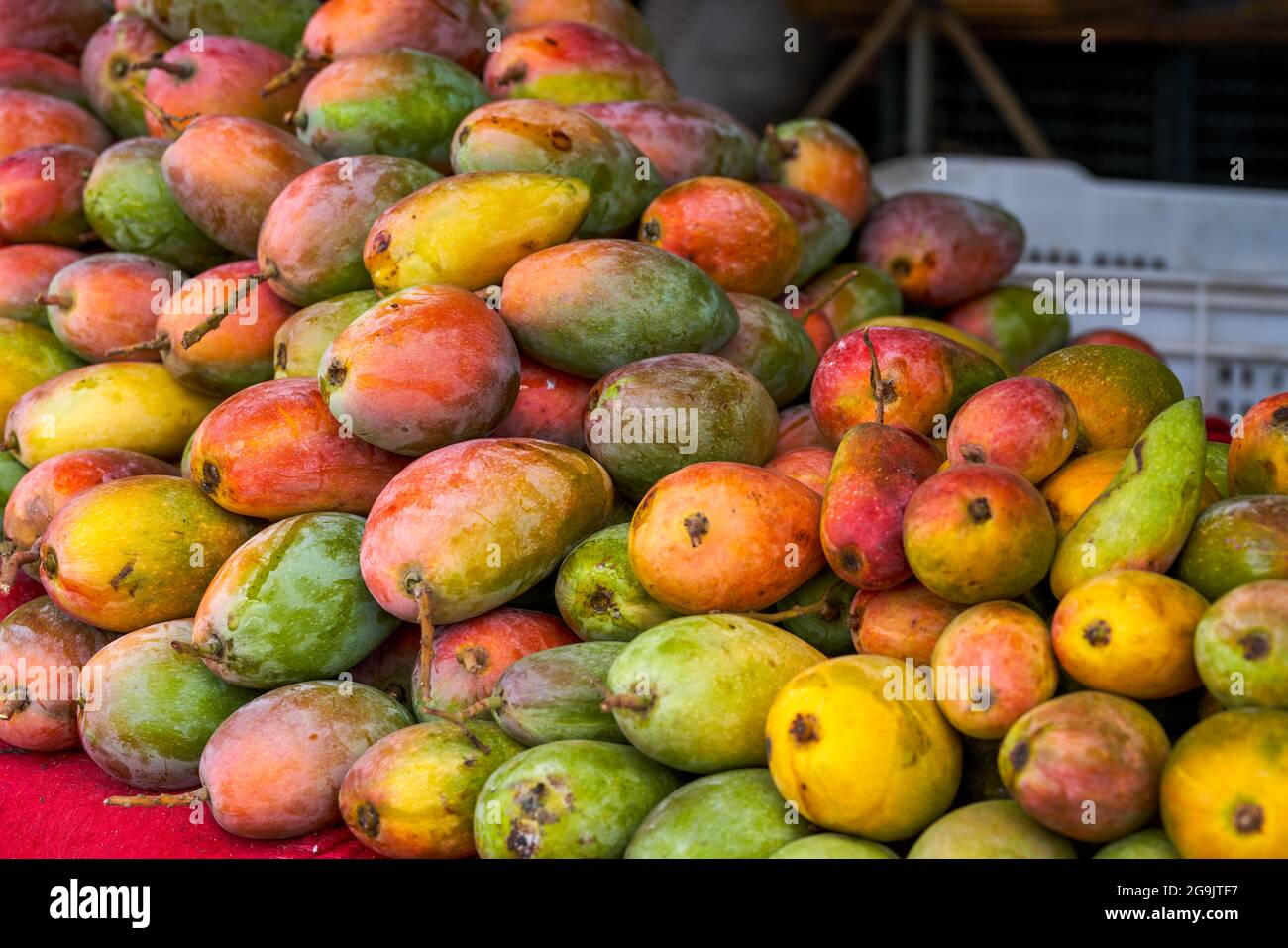Tropical fruit, ripe red mango closeup Stock Photo Alamy