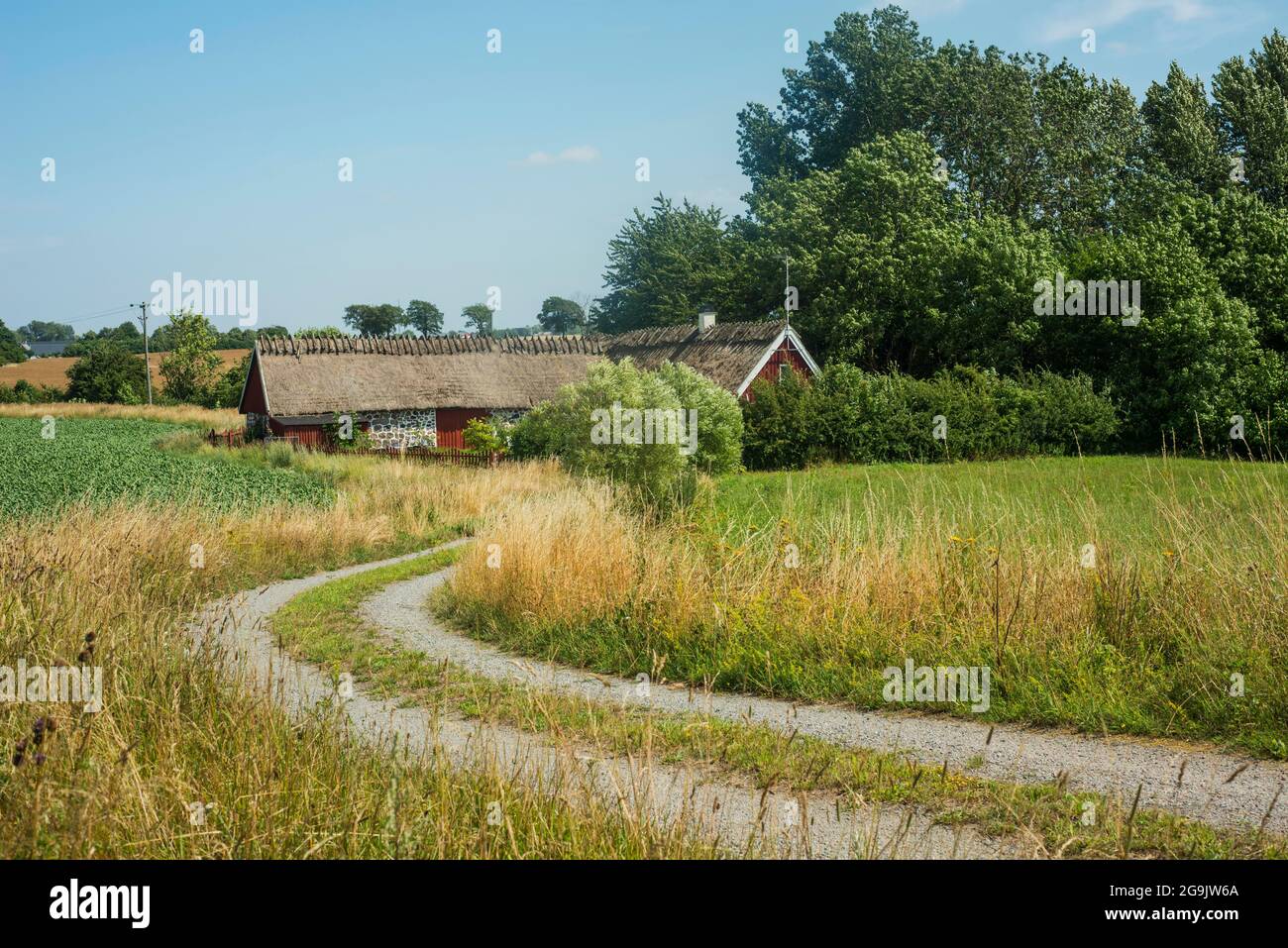 A country road to an old typical Scanian farm at Jordberga, Trelleborg community, Scania, Sweden, Scandinavia Stock Photo