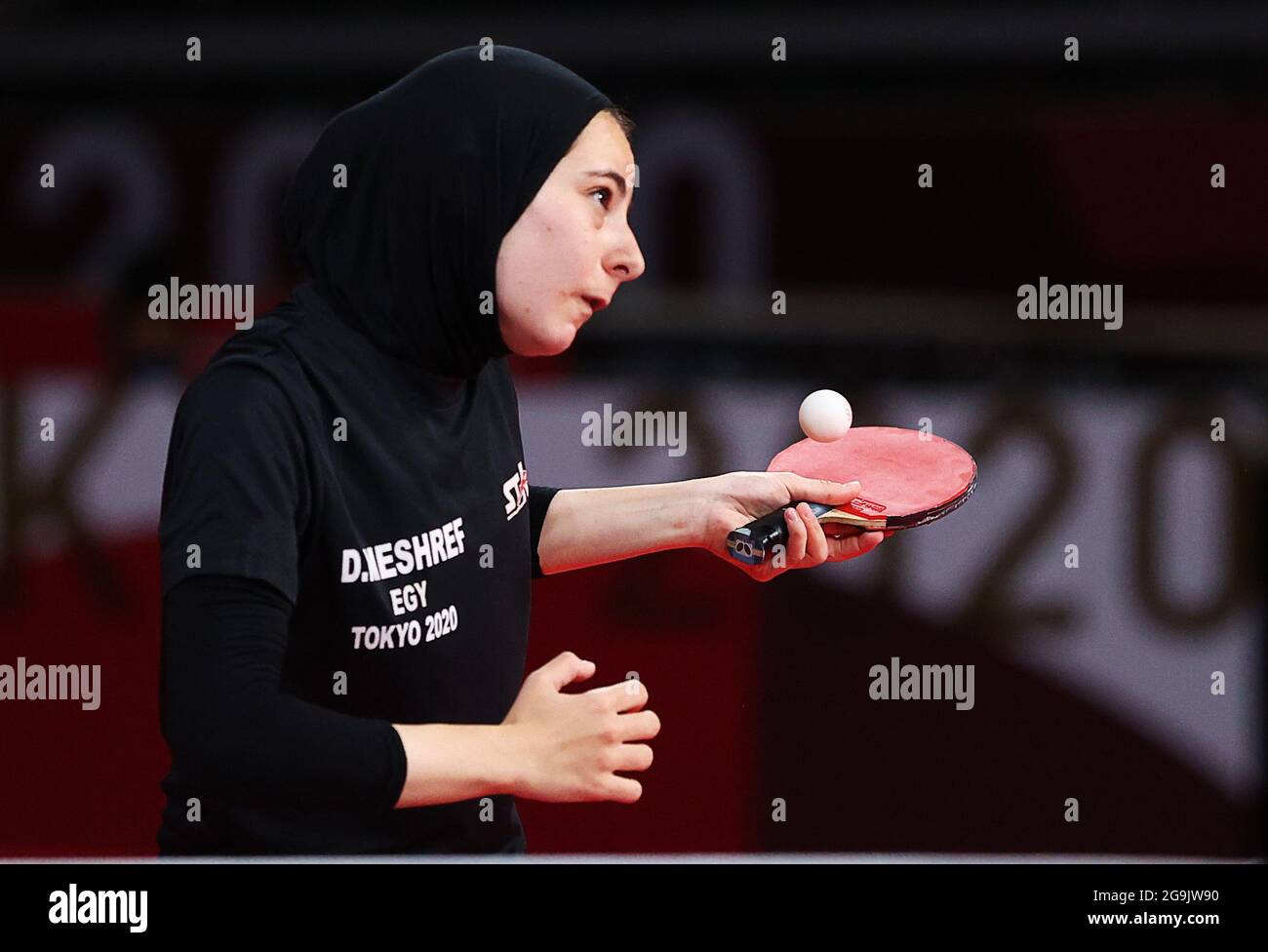 Dina meshref hi-res stock photography and images - Alamy