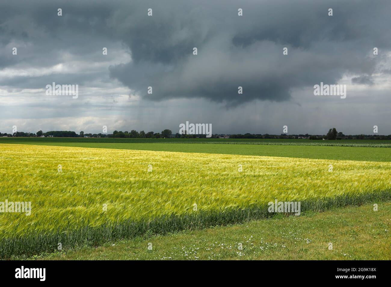 Storm clouds over farmland Province of Quebec, Canada Stock Photo