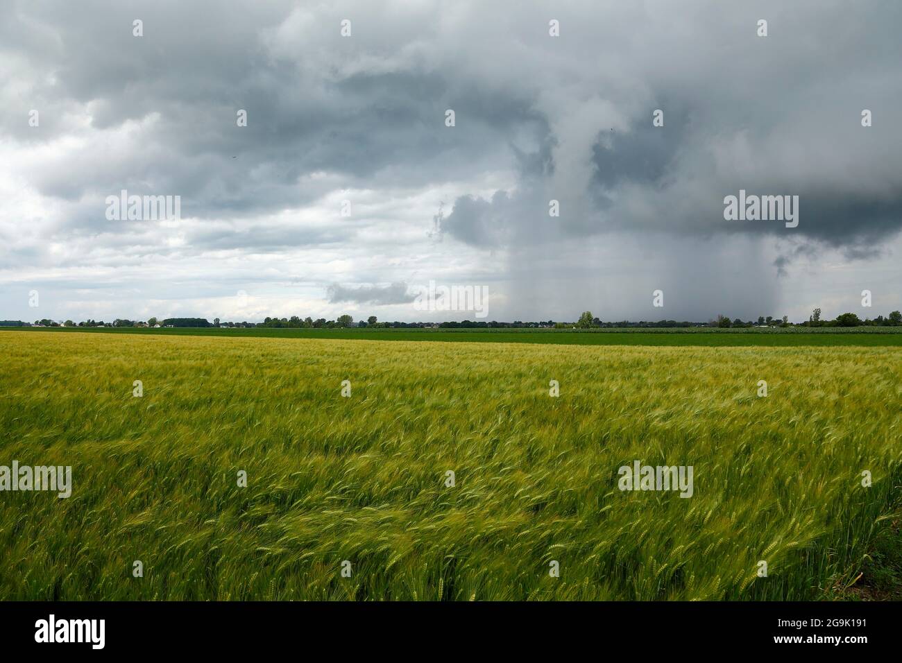 Storm clouds over farmland, Province of Quebec, Canada Stock Photo