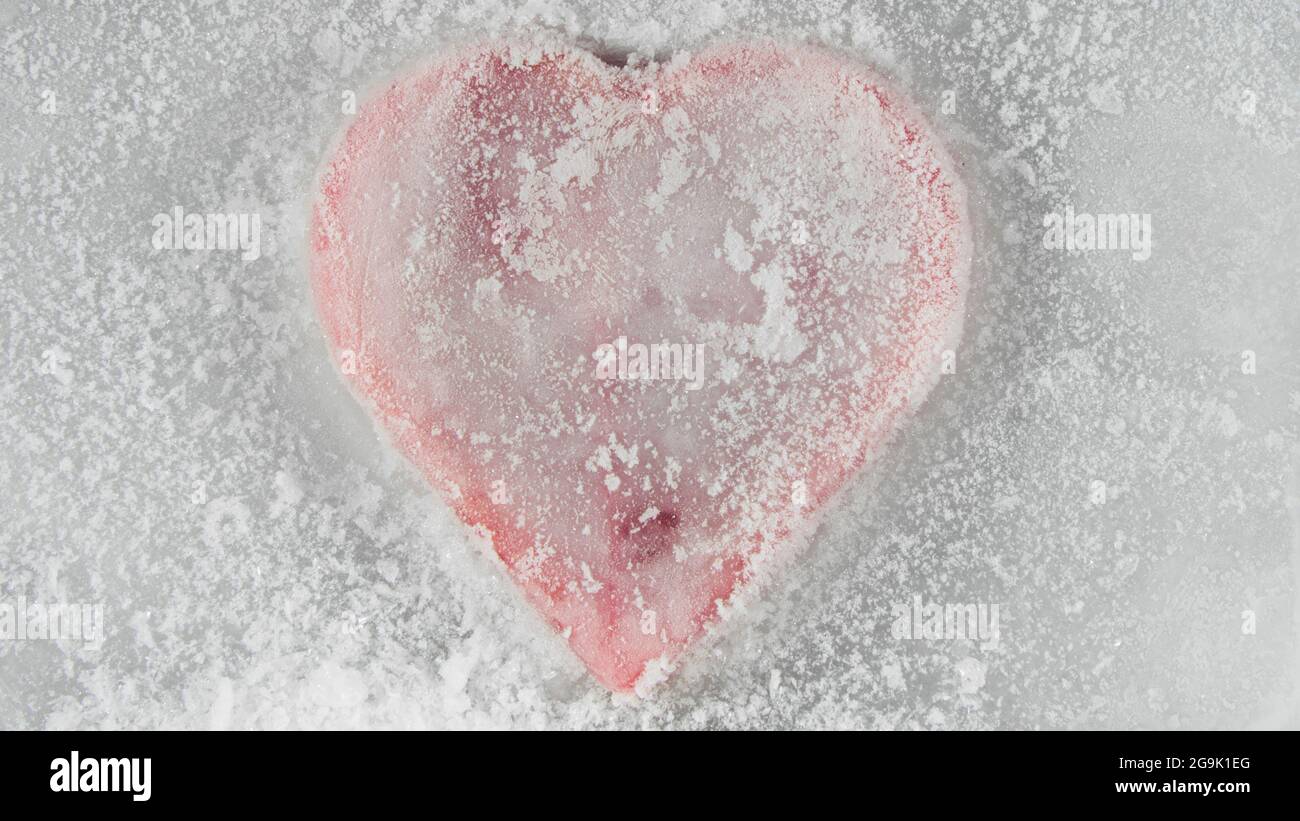 Red heart, frozen in ice melting, bleeding. LOVE! Stock Photo