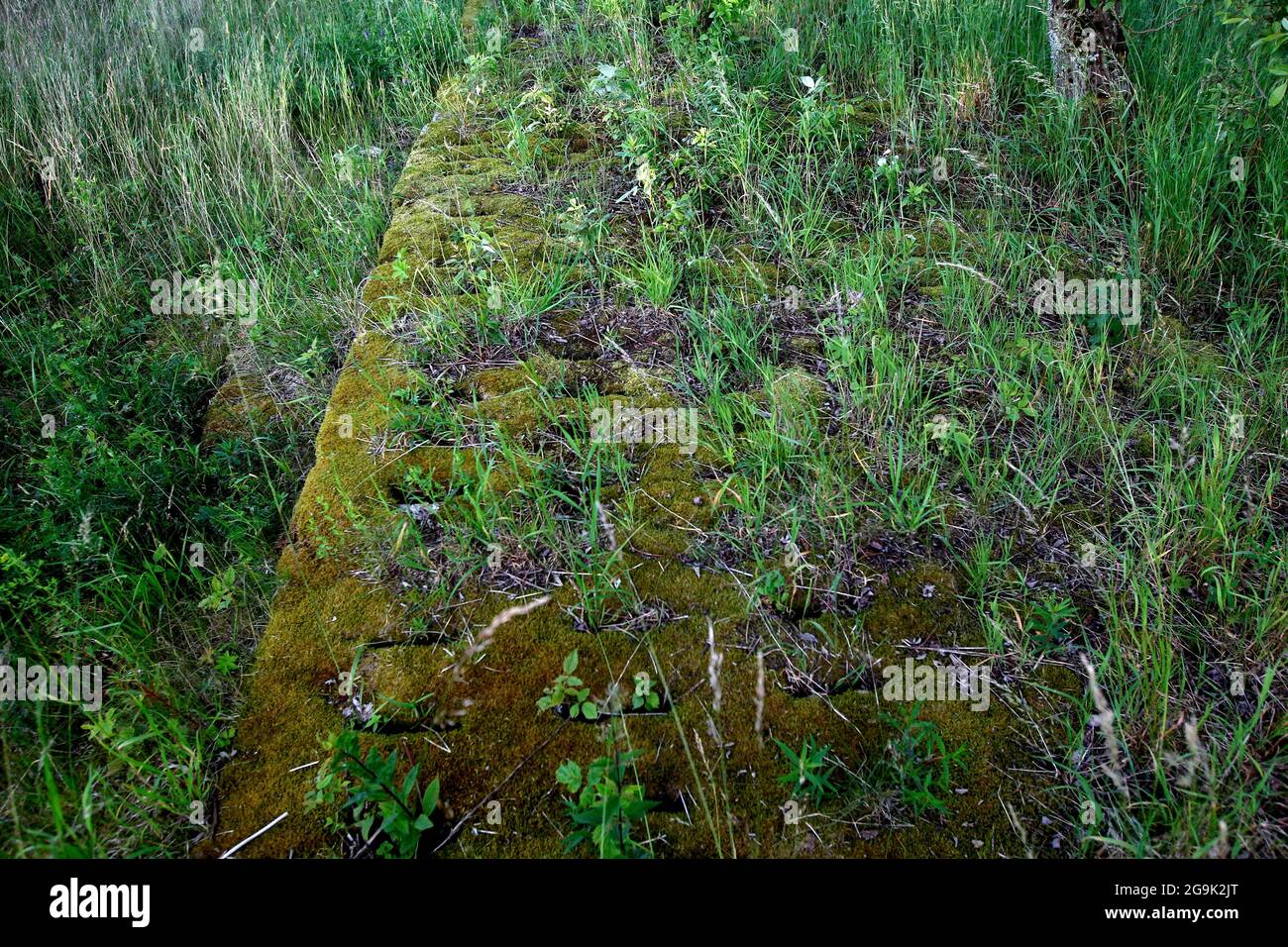 Kolonnenweg, hiking trail through meadows and fields, Lochplattenweg, Gruenes Band, border trail, former German-German border, Tettau, Kronach Stock Photo