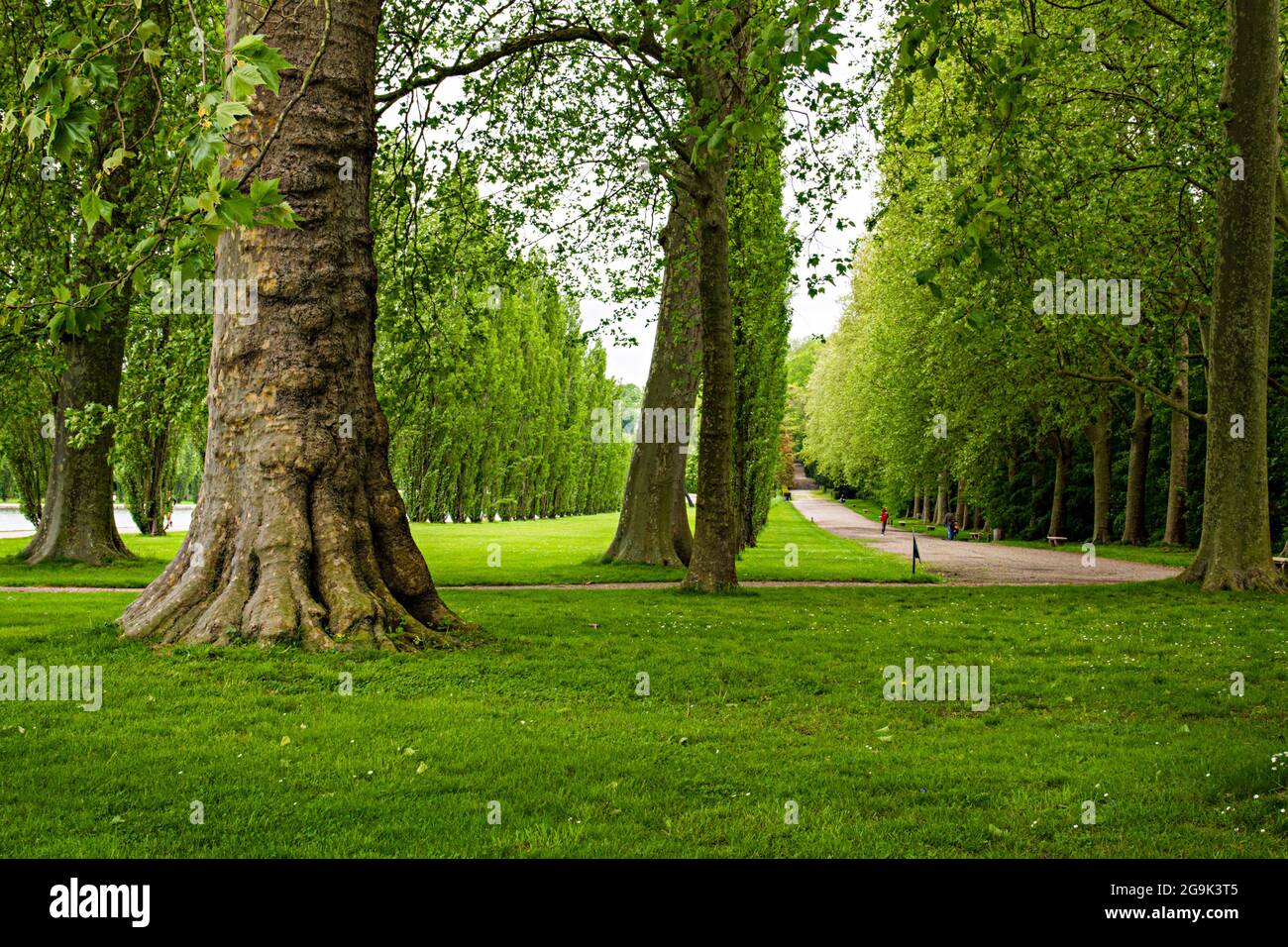 Historic gardens at Sceaux, France with lawns and tree trunks in foreground Stock Photo