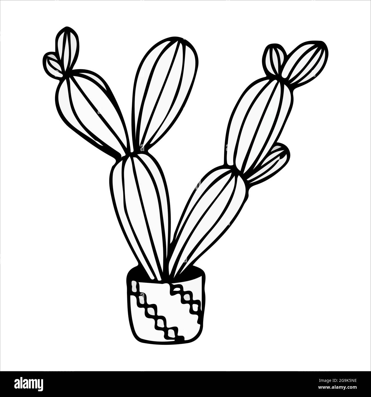 doodle illustration cactus black on white Stock Vector Image & Art - Alamy