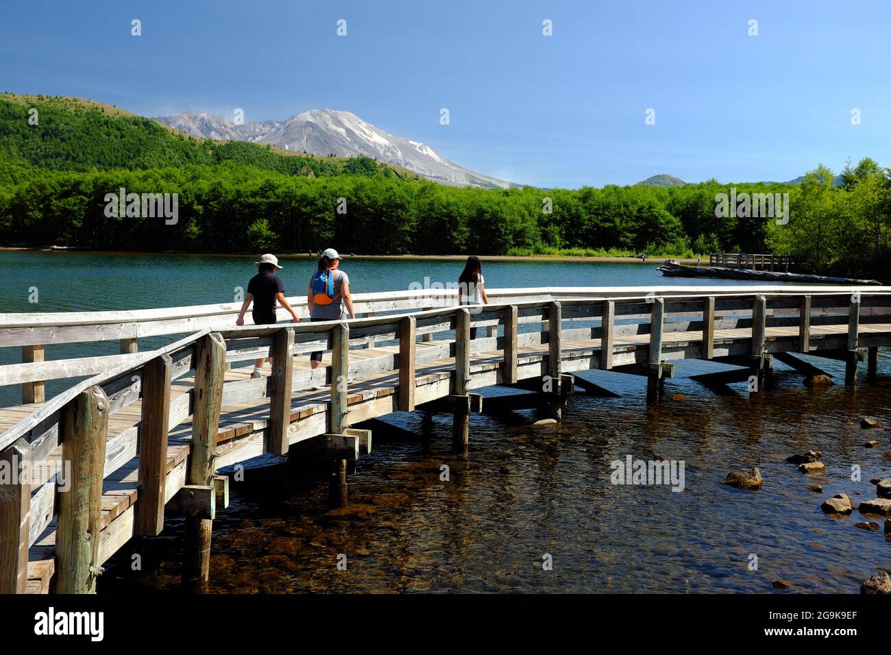 People walk along the interpretive path on Coldwater Lake in Washington State. Mt. St. Helens is in the background. Stock Photo