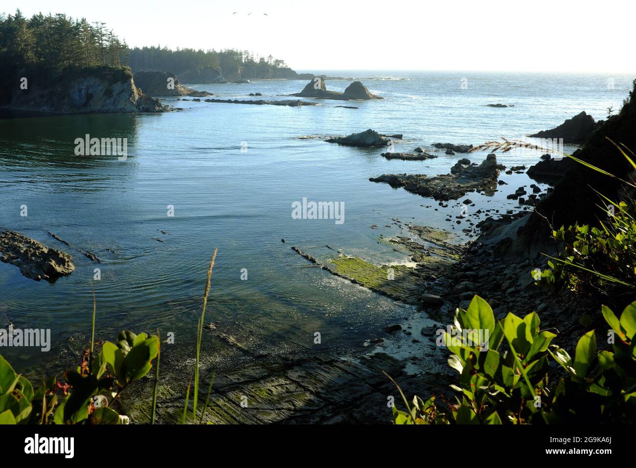 The calm waters of Sunset Bay State Park on Cape Arago, Oregon. Stock Photo