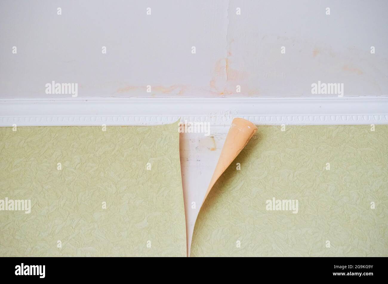 Removing old paper wallpaper from the wall in a room of a residential building Stock Photo