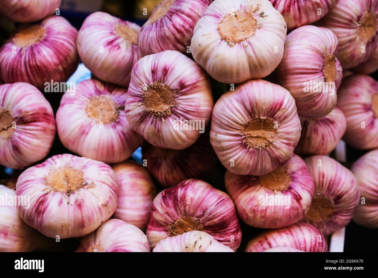 Garlic aglio clove bulb local italian food quadrilatero bologna hires