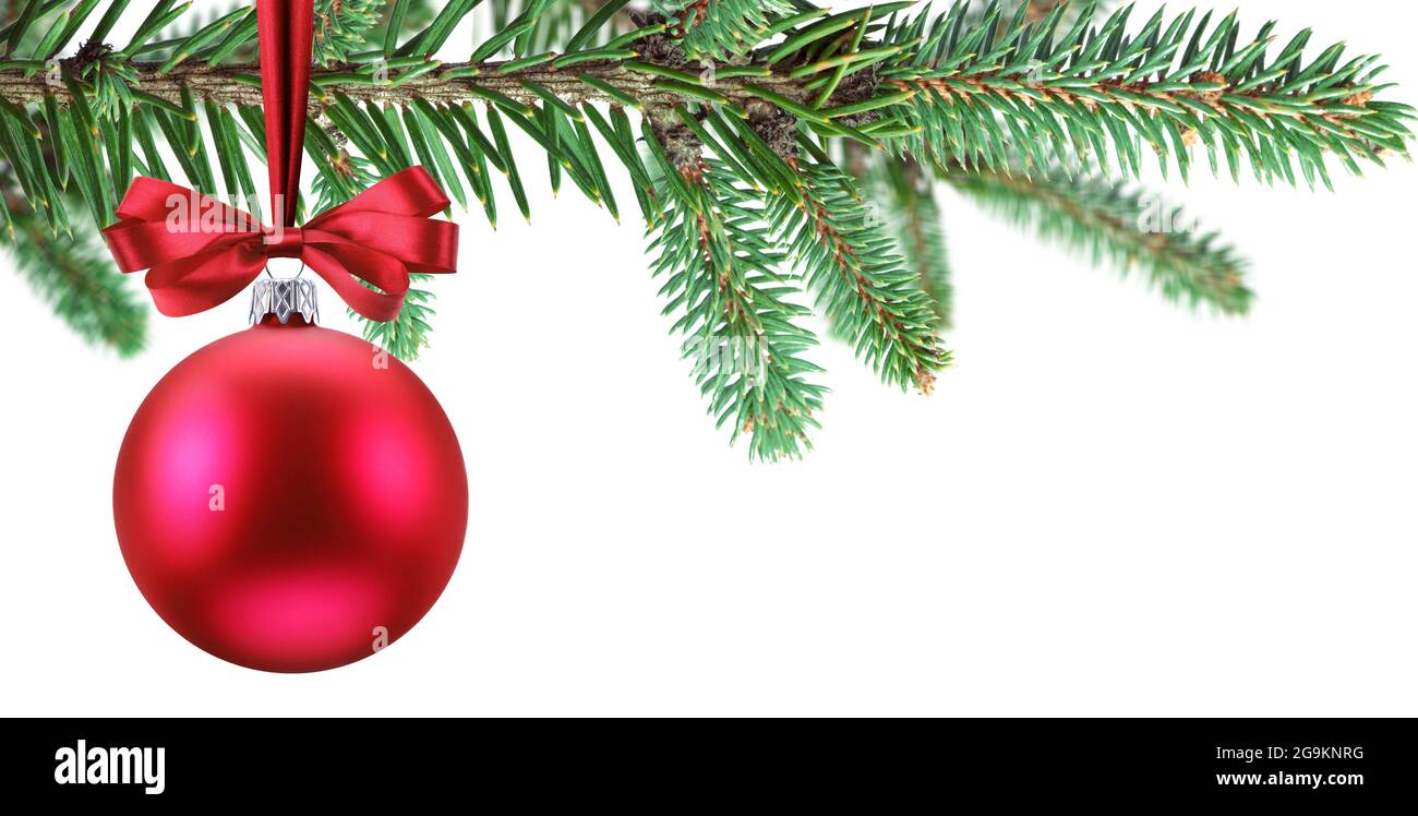 Red Christmas ball with red bow are on the Christmas tree branch as a symbol of Christmas or New Year mystery. File contails clipping path. Stock Photo