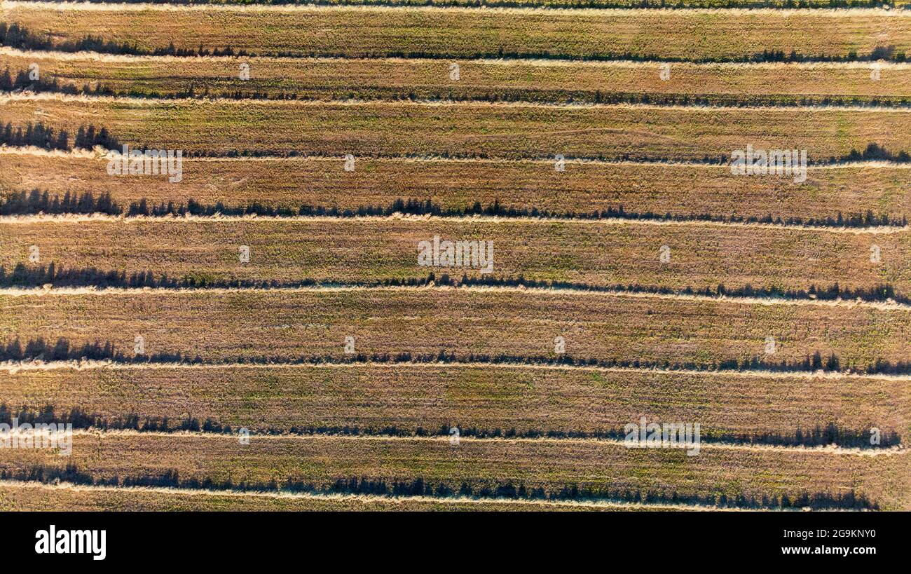 Aerial flight over farm fields hi-res stock photography and images - Alamy