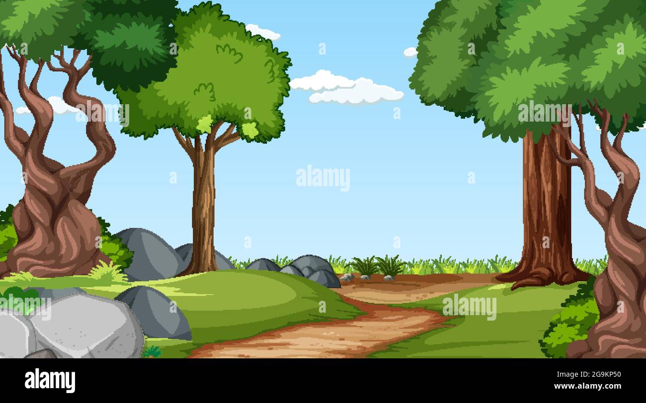 Forest scene with various forest trees illustration Stock Vector Image ...