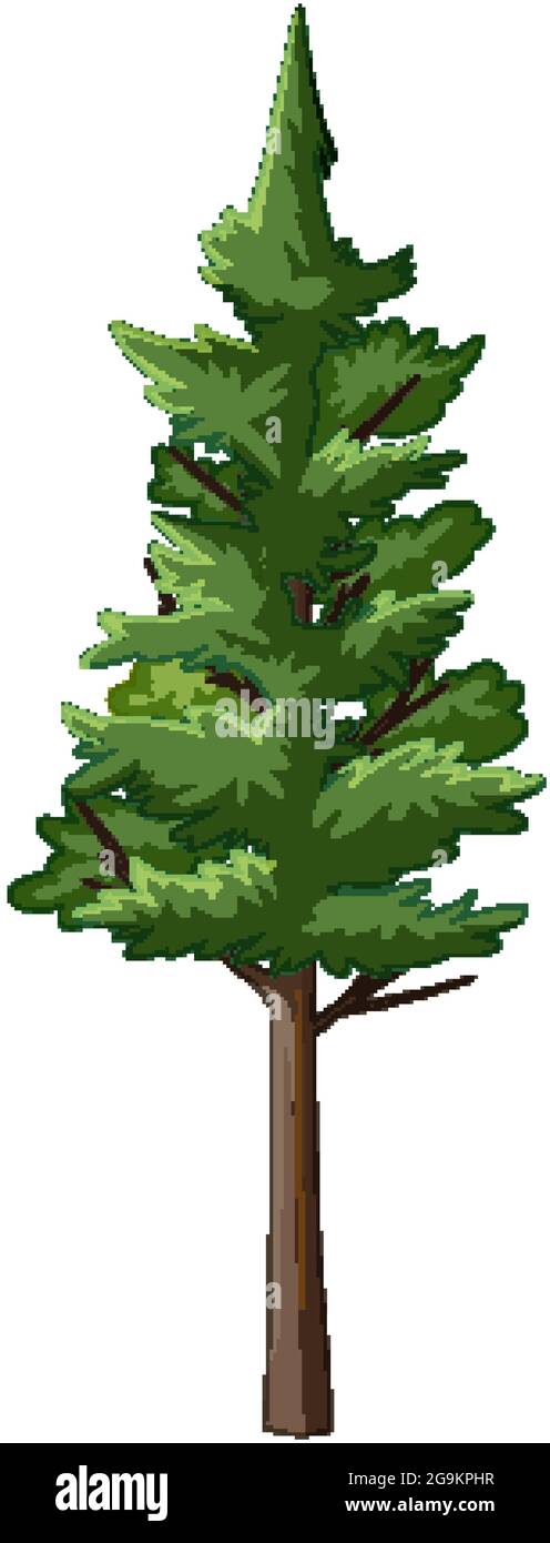 Pine tree in cartoon style isolated illustration Stock Vector Image ...