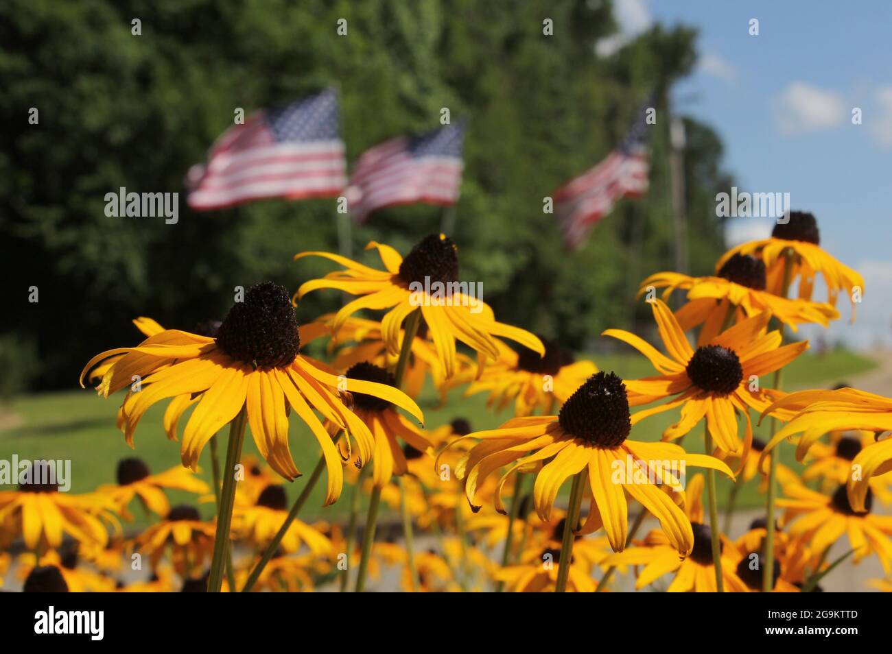 Yellow and black flags hires stock photography and images Alamy