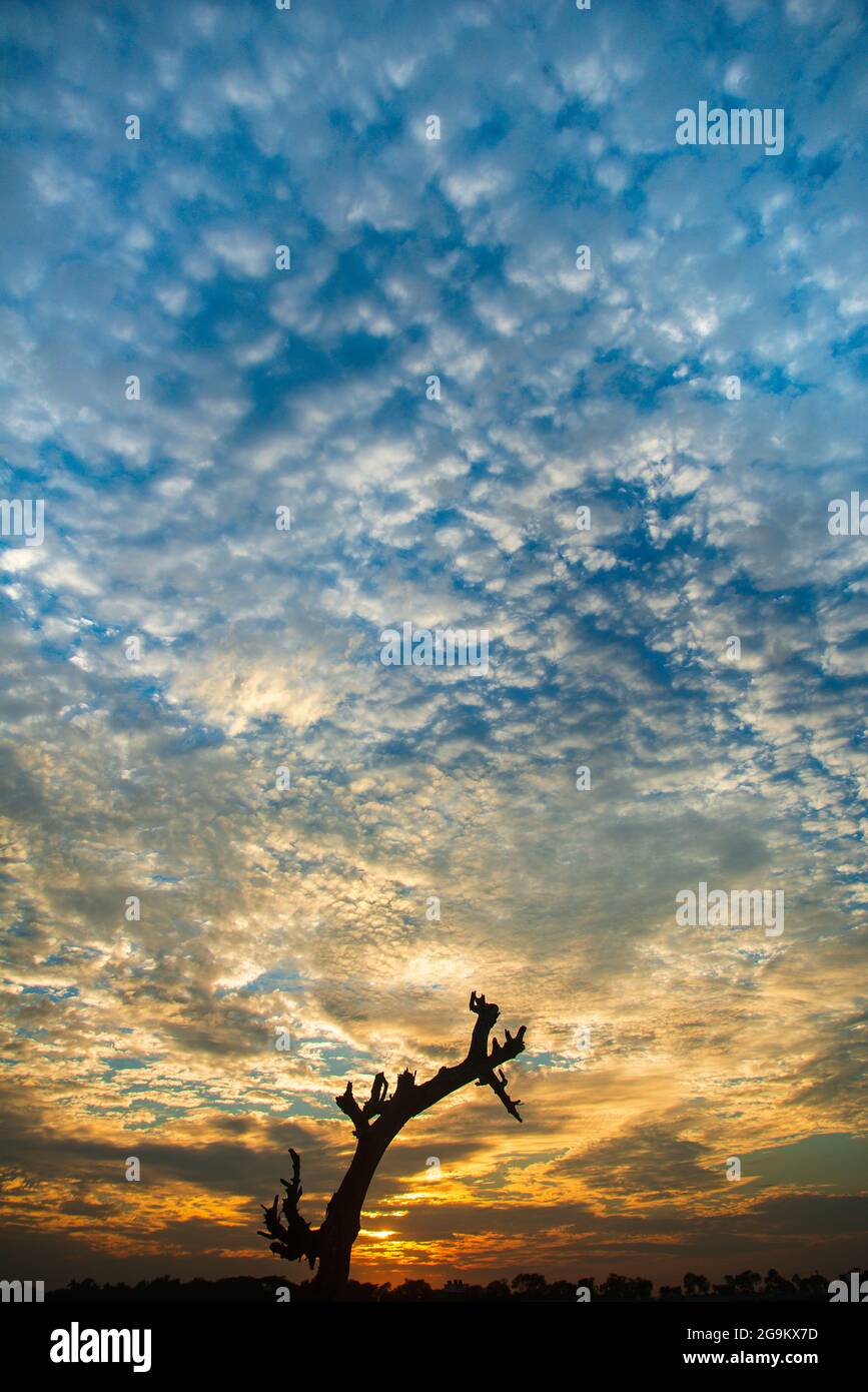 Sunset on the Batiaghata,Khulna, Bangladesh Stock Photo - Alamy