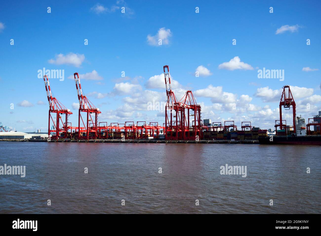 cranes at liverpool 2 container terminal freeport liverpool england uk Stock Photo