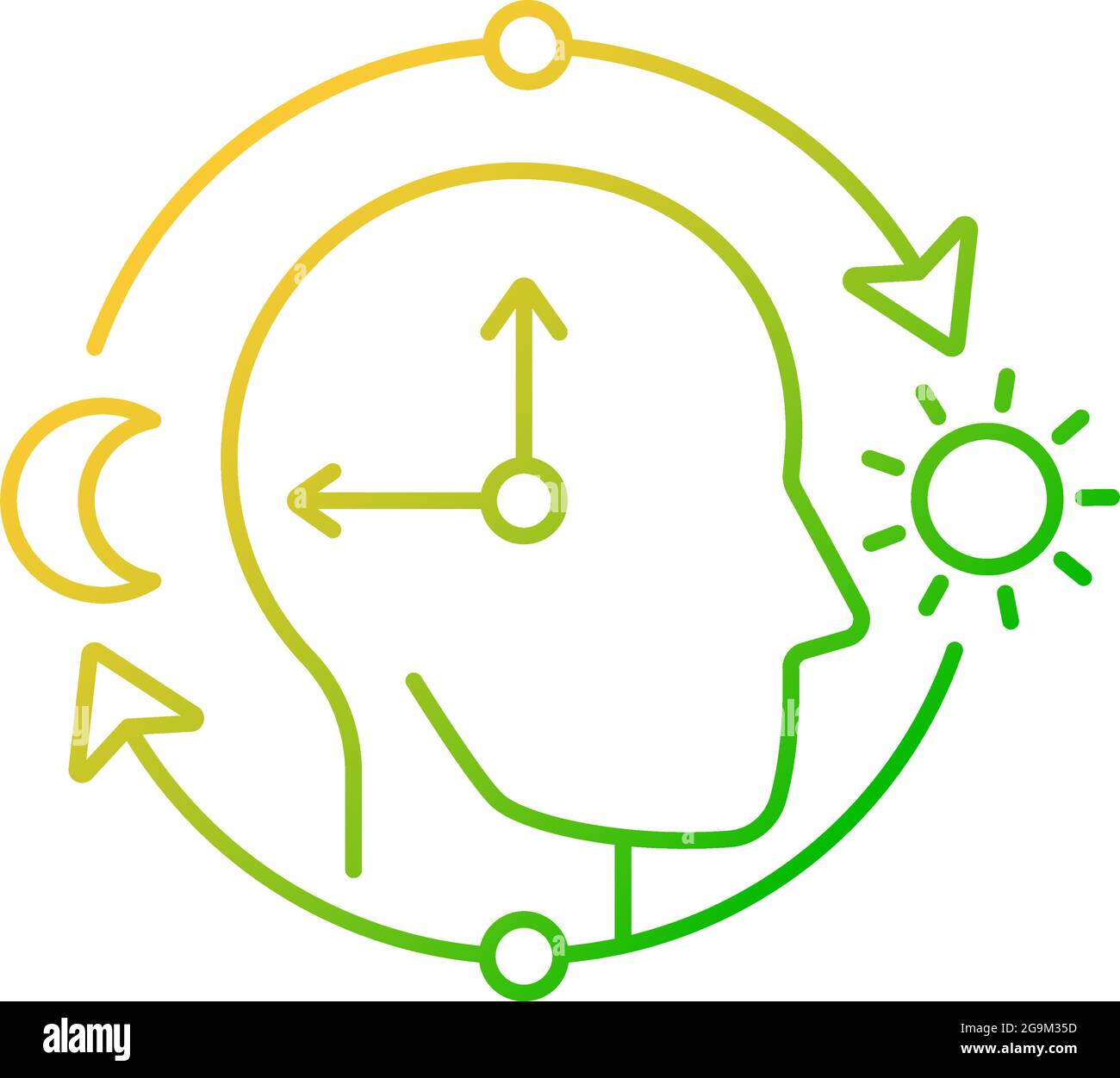 Circadian rhythms gradient linear vector icon Stock Vector