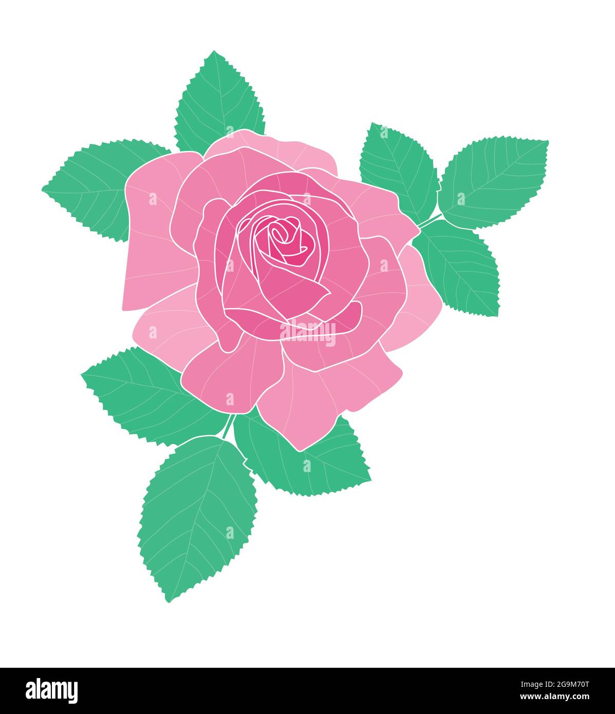 Single Rose Vector Graphics Single Rose Graphic