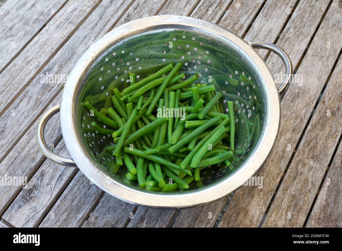 Freshly picked and prepared French beans in a colander. Stock Photo