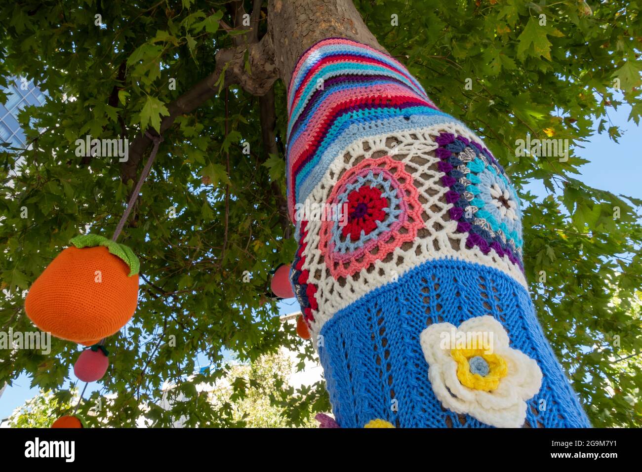 Colourful knitted and crocheted yarns wrap a trunk of a "Yarn Bombed