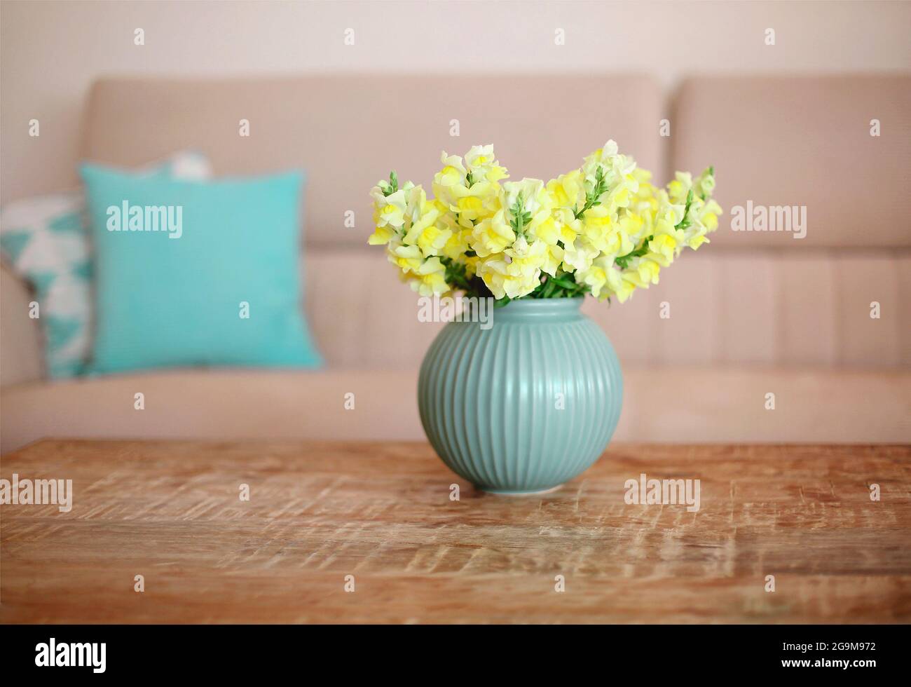 Empty apartment with minimalist modern style interior, wooden coffee table with bouquet of yellow flowers in blue vase in cozy living room with sofa o Stock Photo