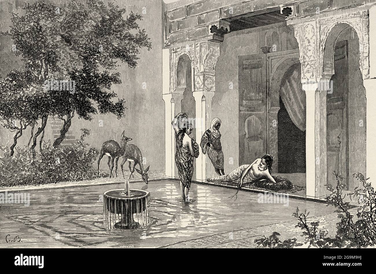 Women Of The Harem Morocco Maghreb North Africa Old 19th Century Engraved Illustration From