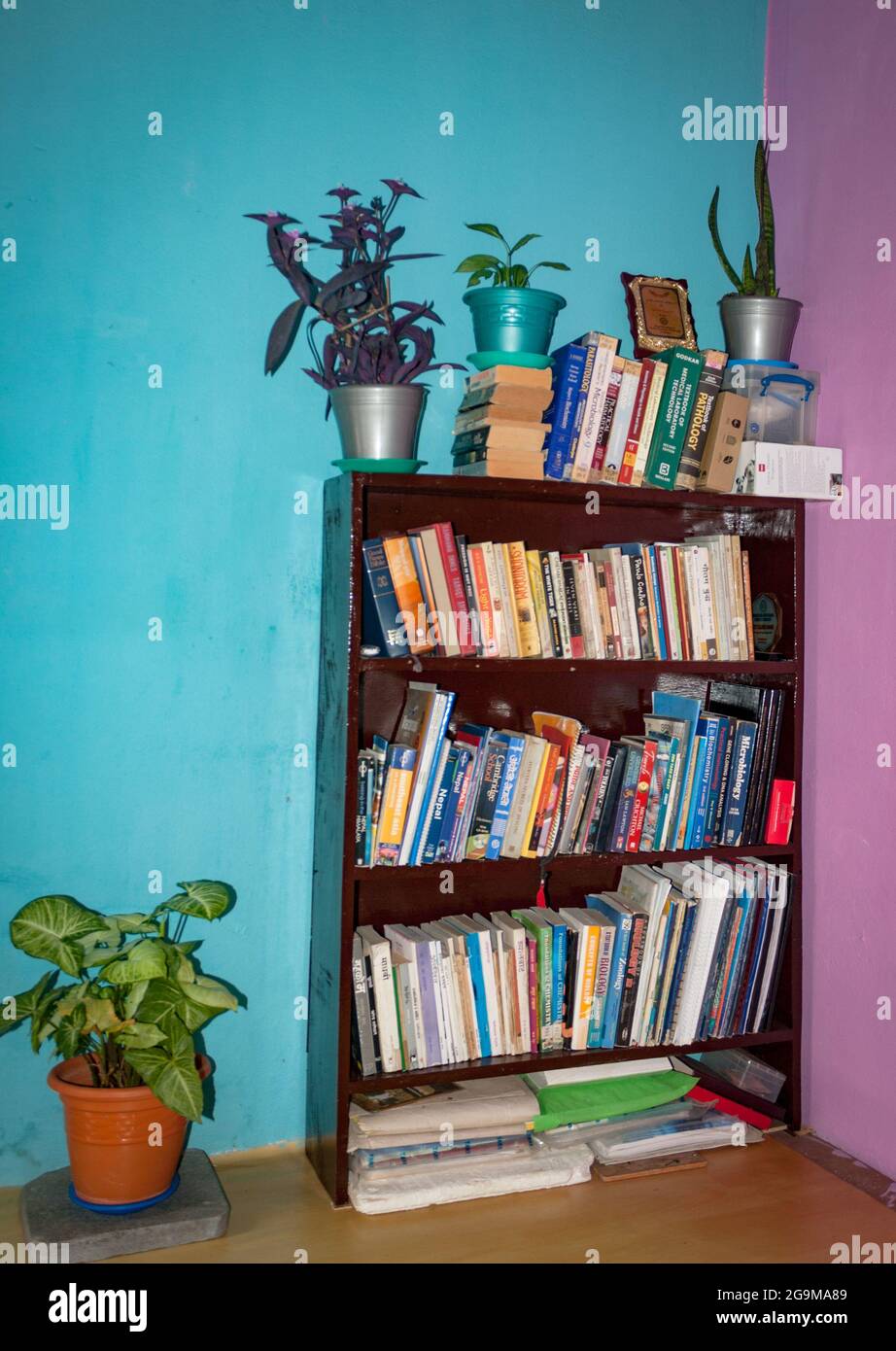 Interiors of the house with flower vase and bookshelf Stock Photo Alamy