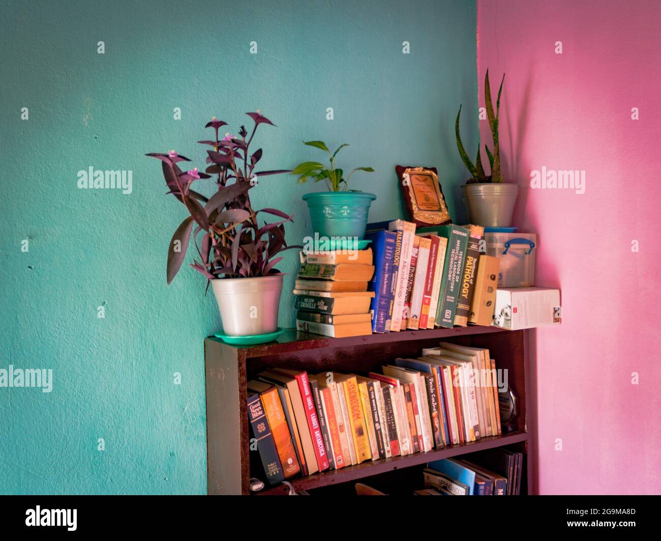 Interiors of the house with flower vase and bookshelf Stock Photo Alamy
