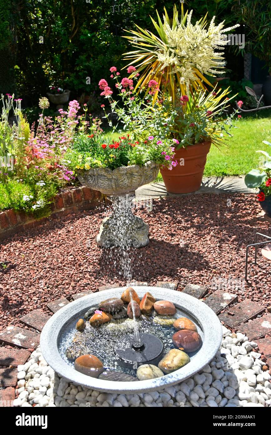 Solar panel mini water fountain feature on top of filled in summer garden pond grand children safety issues cordyline pot flower beyond England UK Stock Photo