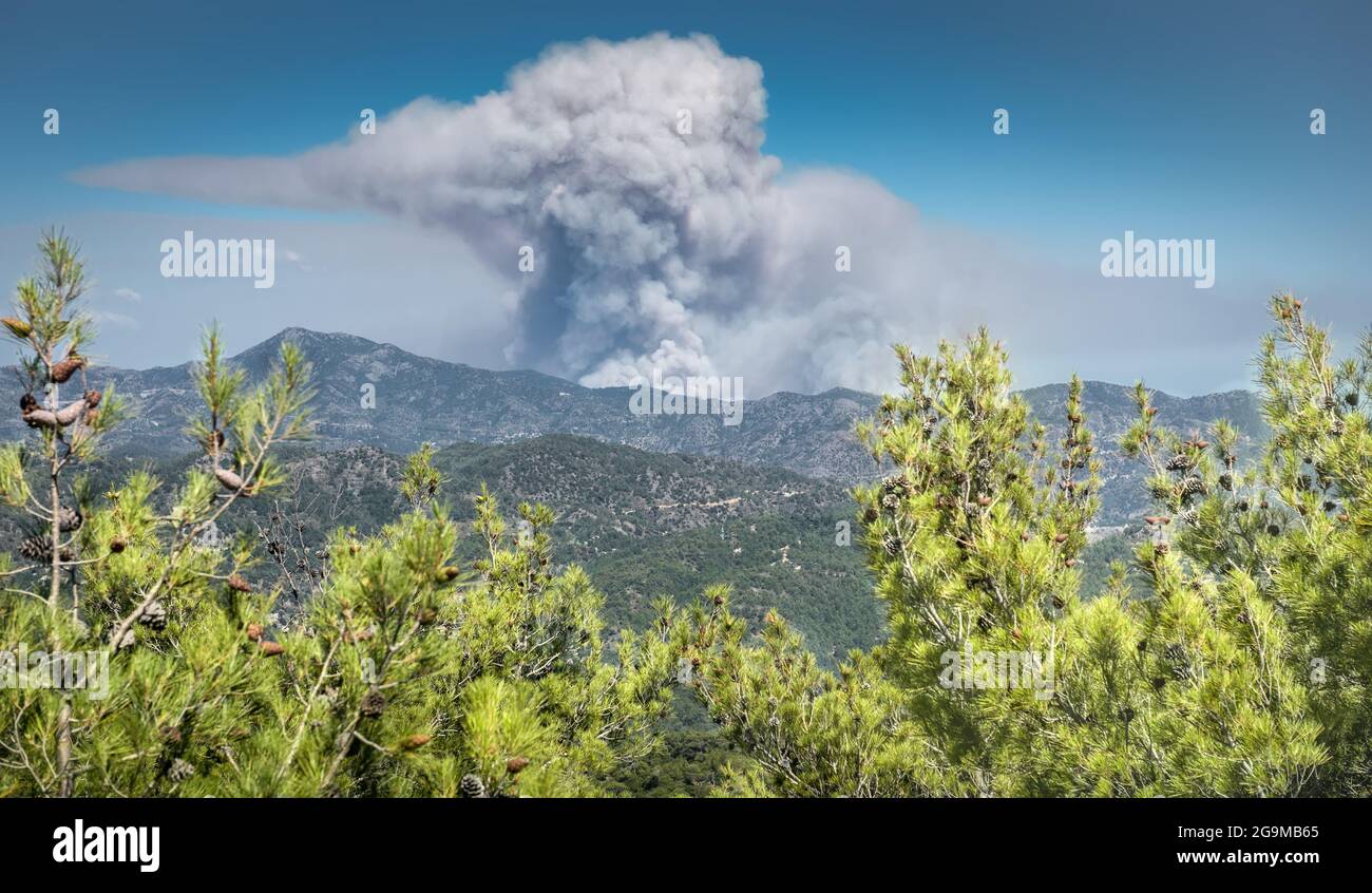 Smoke over Troodos mountains (Cyprus) from a distant wildfire with pine trees on foreground. Wildfires cause damage to forests and property every year Stock Photo
