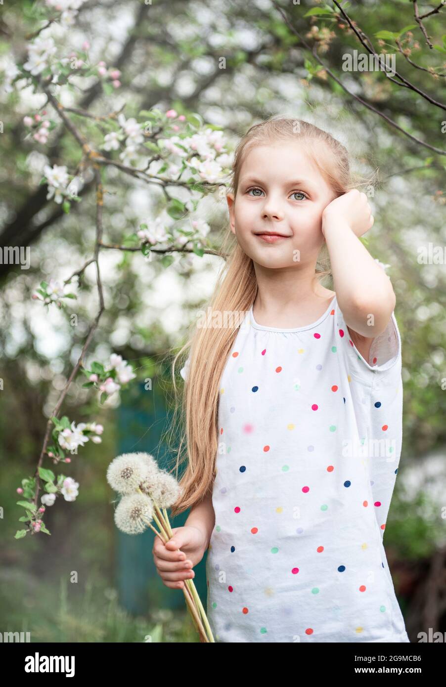 Little girl in a spring garden with white dandelions in her hands Stock ...