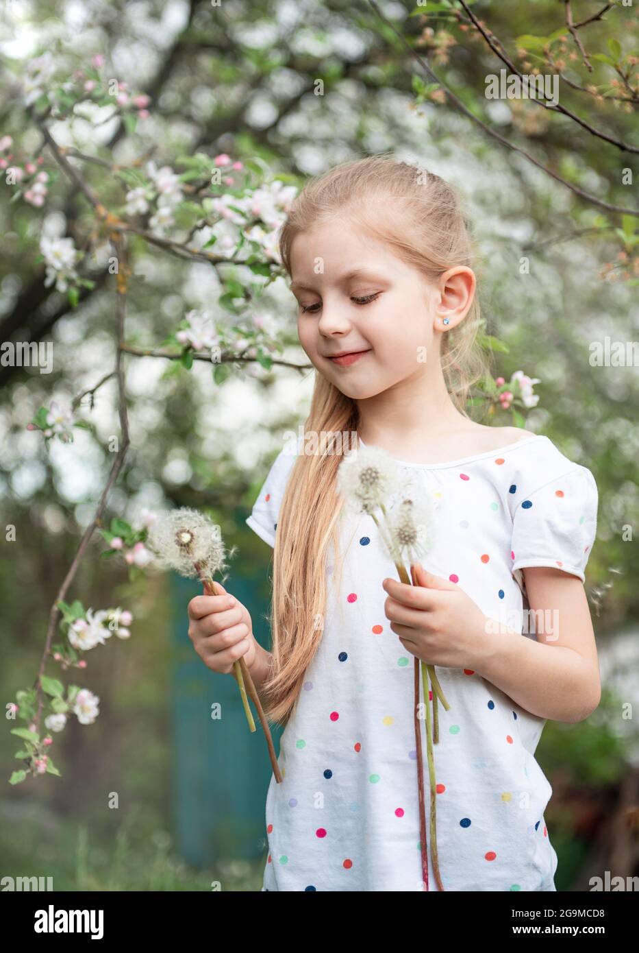 Little girl in a spring garden with white dandelions in her hands Stock ...