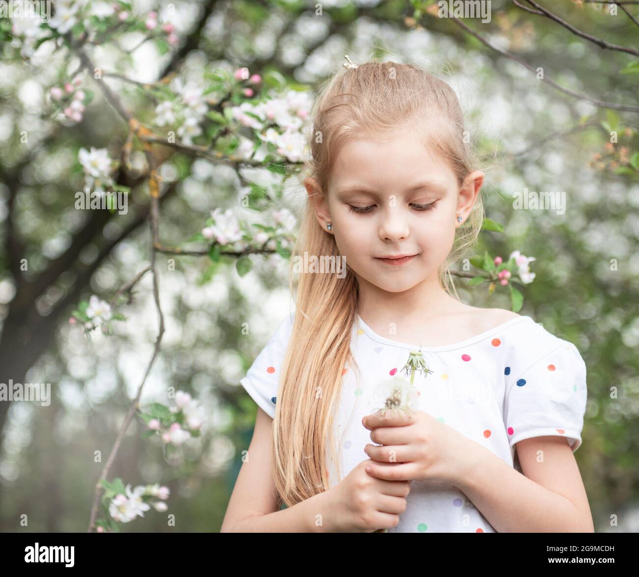 Little girl in a spring garden with white dandelions in her hands Stock ...
