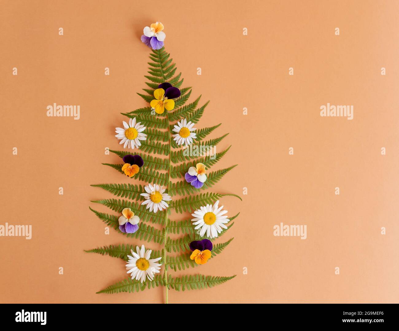 Summer christms tree made of fern and chamomile and pansie flowers with copy space. Alternative celebration of new year. Stock Photo