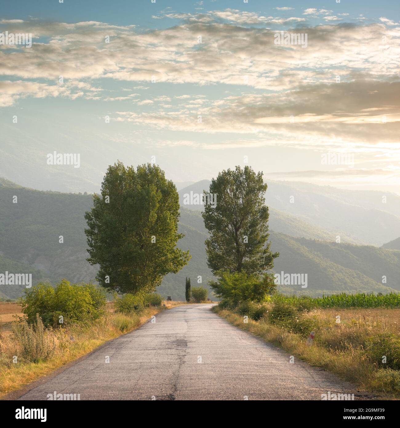 Country road with mist hi-res stock photography and images - Alamy