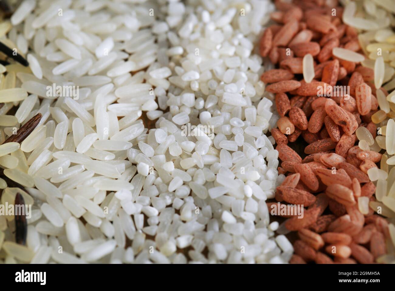 Different types of rice close up Stock Photo Alamy