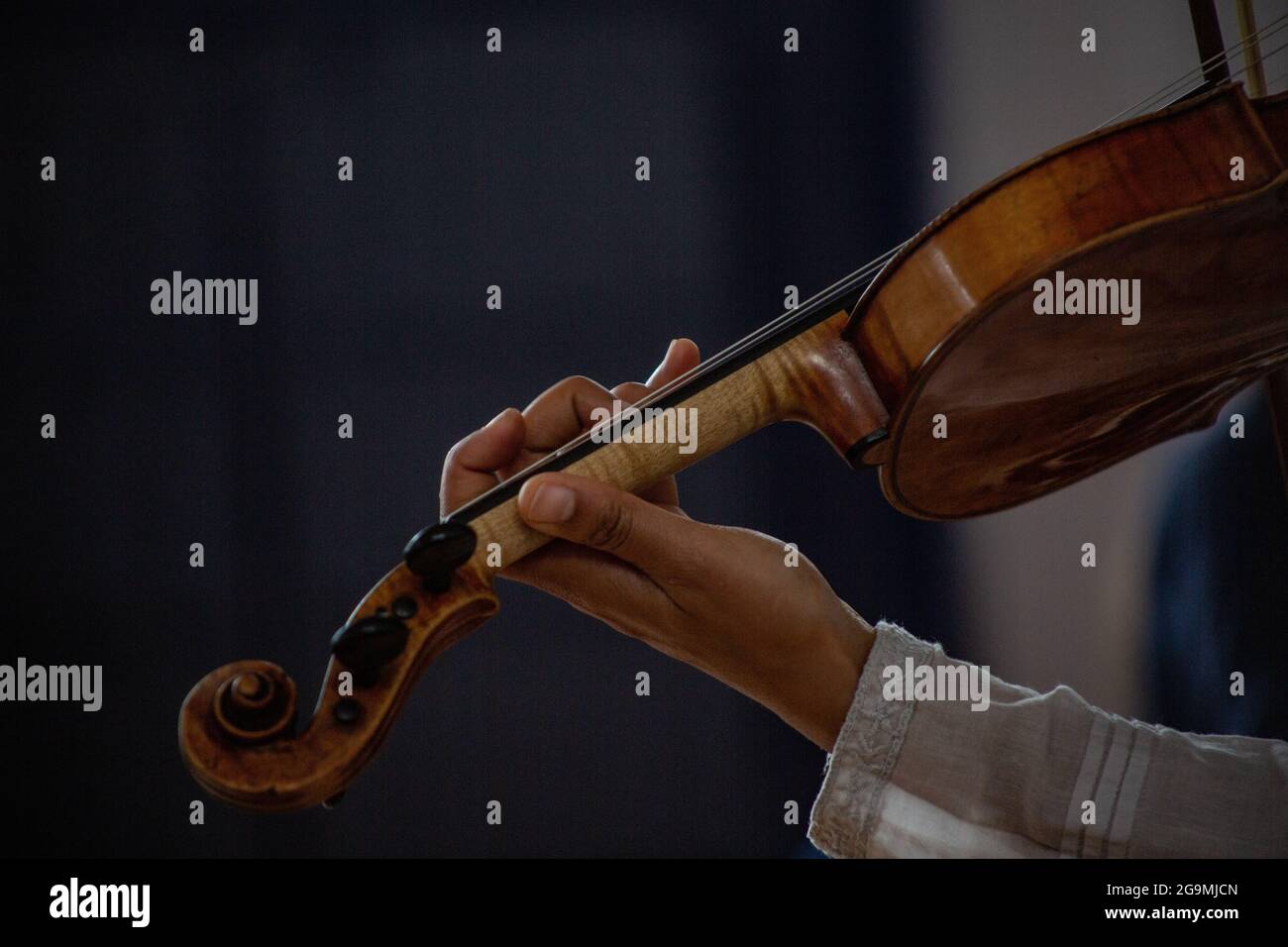 Violinist Stock Photo