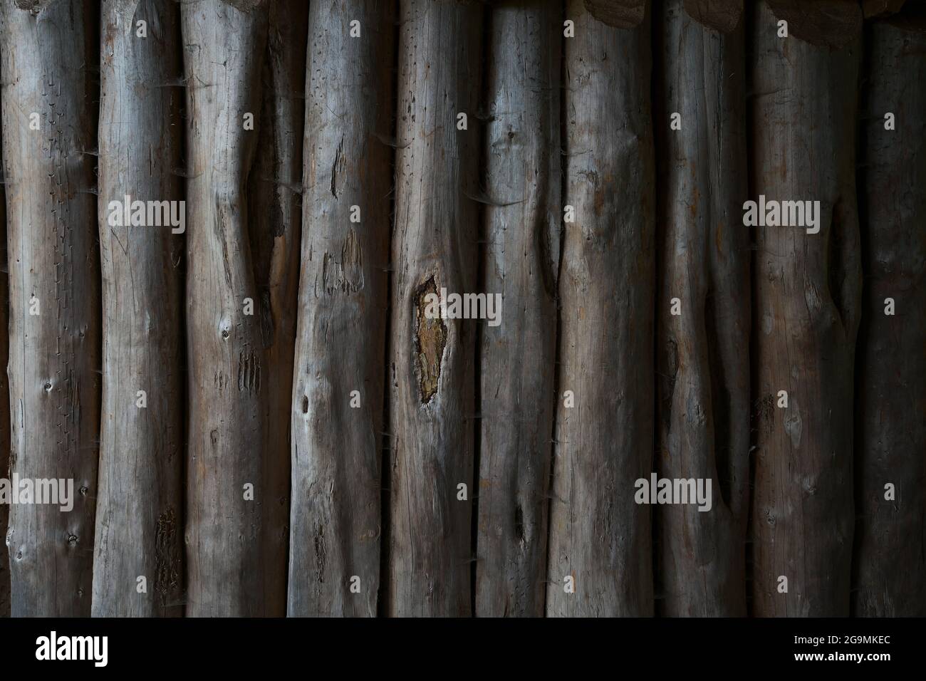 wall from round wood palisades, full frame background texture, architecture concept, copy space, selected focus Stock Photo