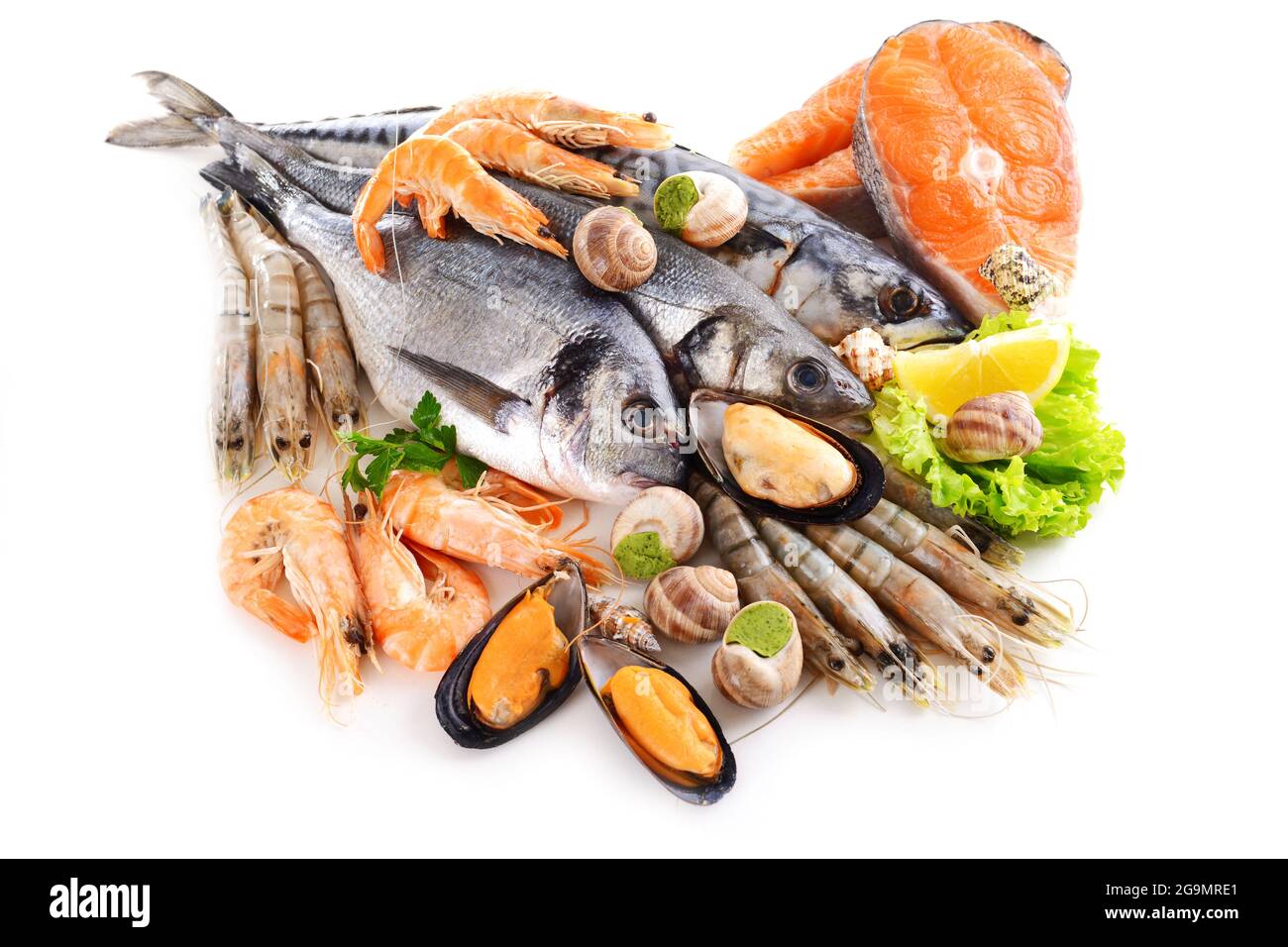 Fresh fish and other seafood isolated on white Stock Photo Alamy