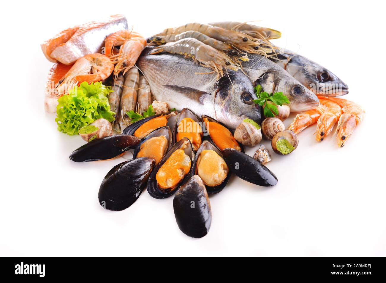 Fresh fish and other seafood isolated on white Stock Photo Alamy